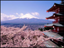 The_Last_Samurai